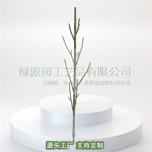 ��Ȼ����ɘ�֦�b����͘�ԭƤ�ݘ��֦�쾰ͥԺ�ݘ�٘������