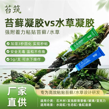 ̦�B5g̦�\���z ˮ����ָ׏������� ΢���^�Gֲ����ճ���쾰