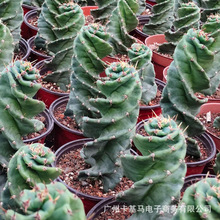 ����ֱ���������L�_�����������ԾӼһ��ܾGֲ����ֲ�����B���\ݔ