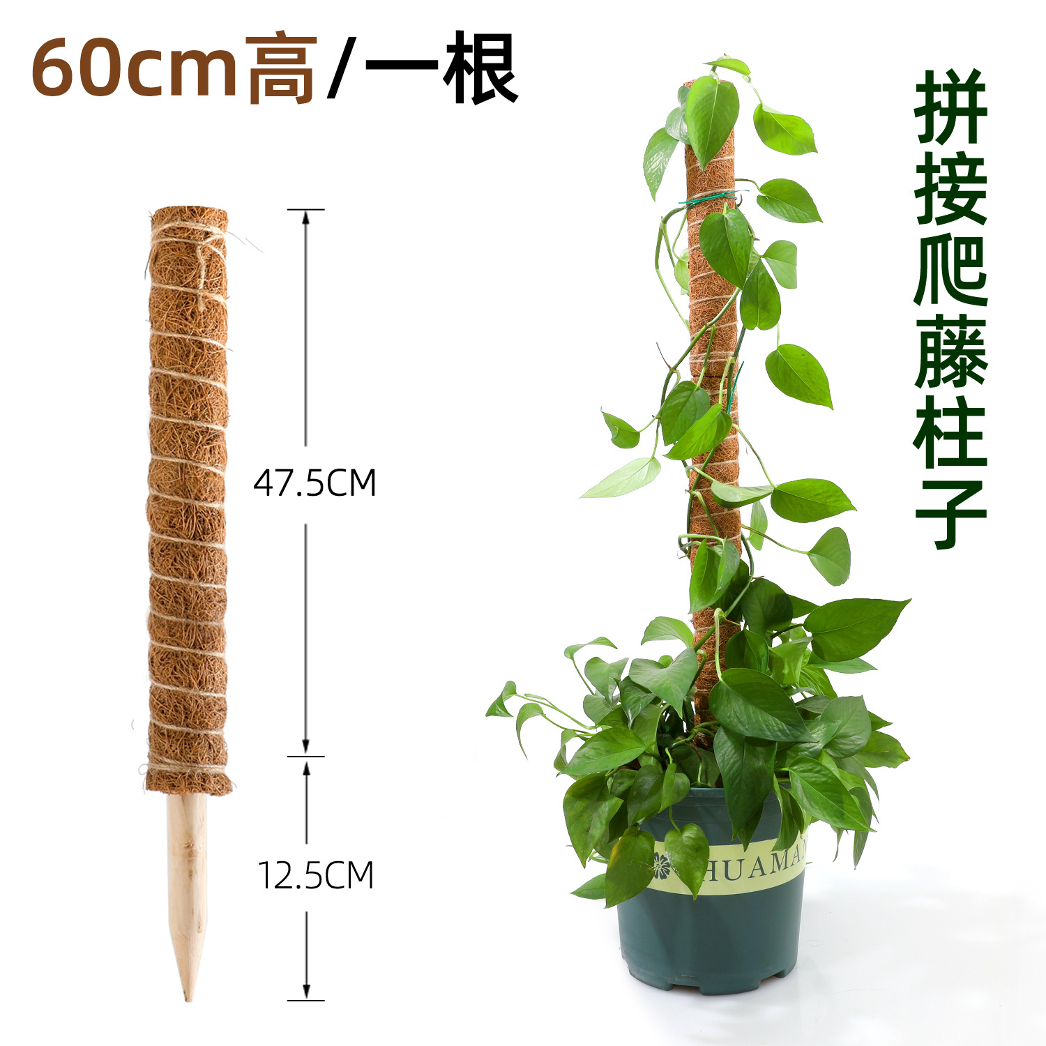 palo de palma de coco tortuga espalda bambú palo de soporte columna de escalada de caña de rojo verde palo de palma planta de escalada marco de soporte columna de soporte bonsai