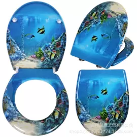 普通马桶盖;果盘、果篮