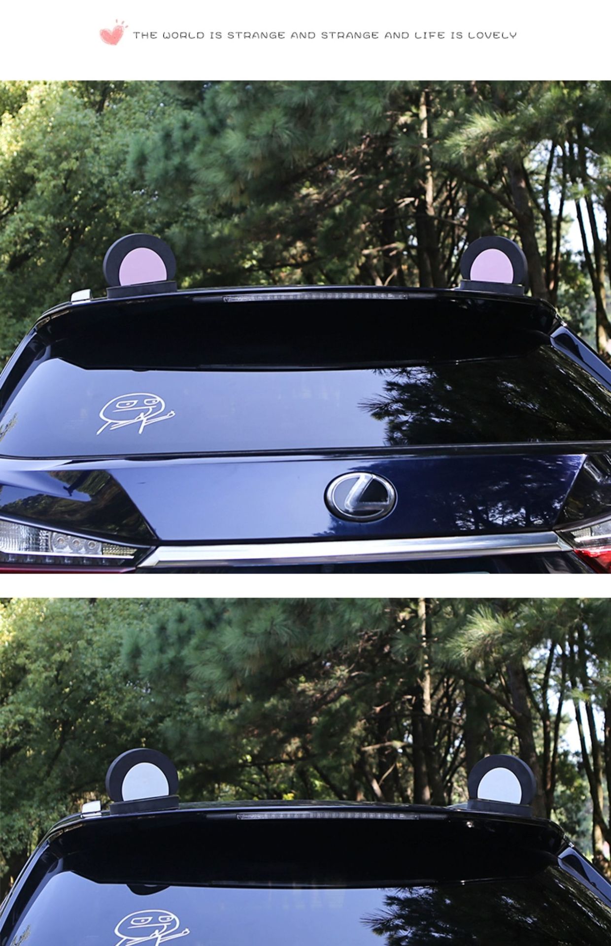 Car Roof Decoration Cat and Rabbit Ears Saplings Wuling Mini Euler Electric Car Ornaments Car Stickers