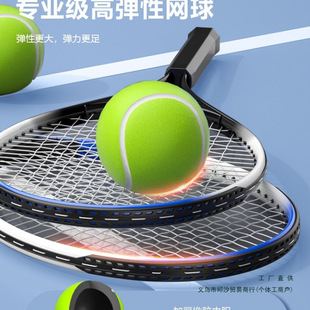 Tennis Trainer for Single Player Rebound with String Fixation for Adults High Elasticity for One Person to Play Badminton Self-Training Exercise