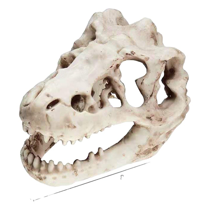 Acuario pecera decoración plantas acuáticas paisajismo dinosaurio resina cráneo crawler Mane León lagarto Paisajismo/Decoración