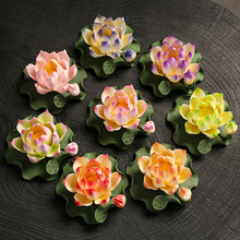 ���z�մ��ֹ���ɏ��������ɏ�ֹ���޹��ˇ�b[��ɏź���