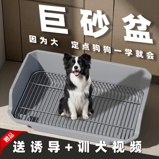 ������̖���ﲻ���䓹�ɰ�����ʺ�д���Ȯ���c�ű�ʺ��