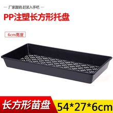 芽菜盘育苗盆育苗盘育水稻育秧盘芽苗菜盘塑料正方盘玛咖盘长方盘