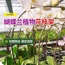 ���@ˇ��s��������֧���F�z�̶��A�ӵ��mֲ��֧�����ͻ����