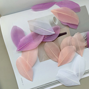 �F؛��ɫ��ë�Zë�h�^diy�Ʒ��؈������鼆�o�϶�������ˇƷ