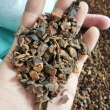 代磨粉大红春花茴香 新货大茴香 卤肉料大回 香辛料广西产地八角
