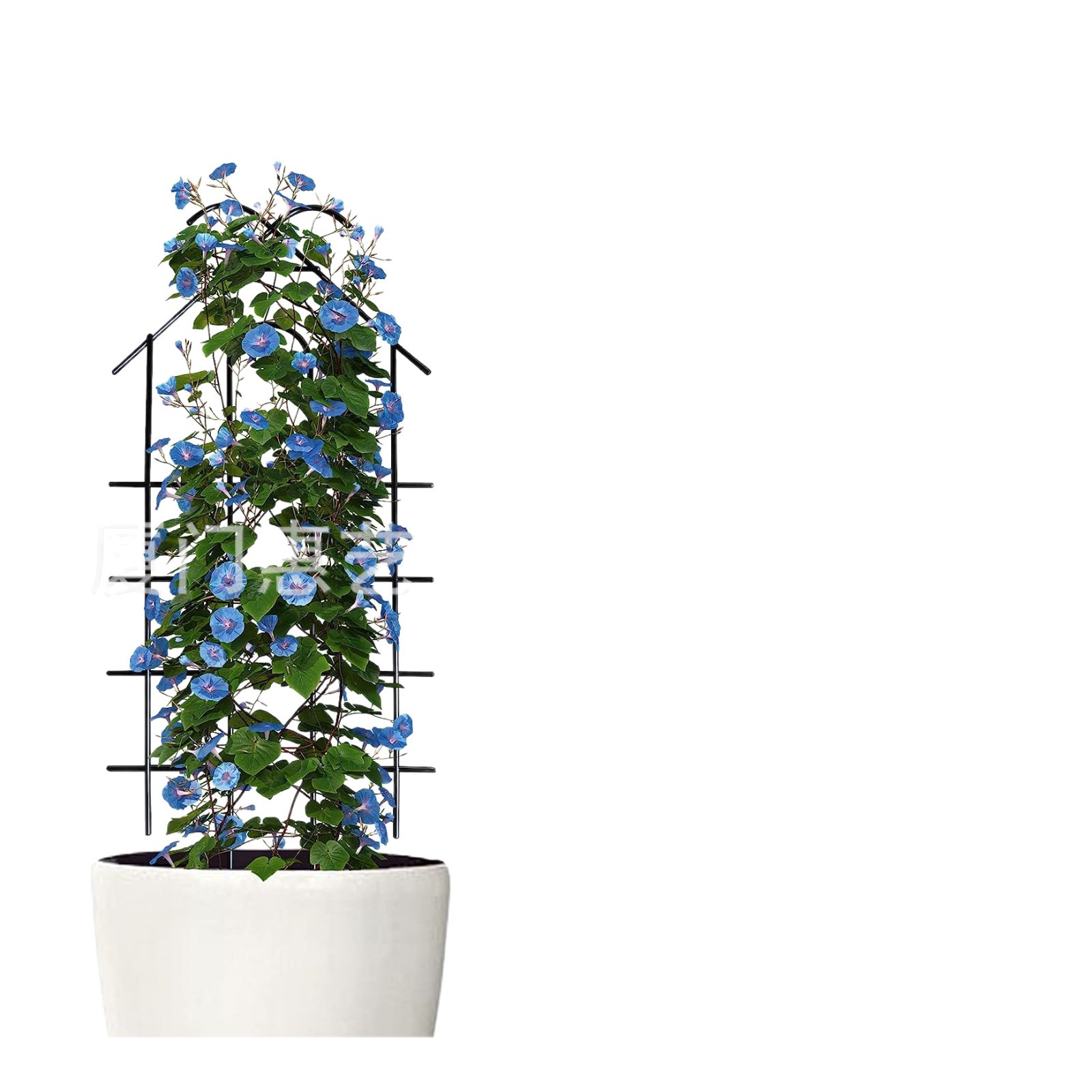 Iron Plant Trellis Small Vine Iron Climbing Frame Fence Courtyard Plant Climbing Frame Lattice Villa Potted Plant