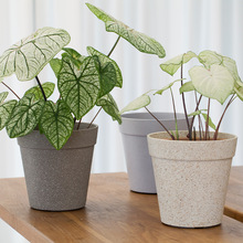 ��Դ�S��}���β���ħ�������⻨������Gֲ�b�����~��ĥɰ����