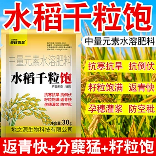 水稻千粒饱水稻种植提质增产膨大饱满促进发育钙镁正品水溶增提肥