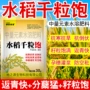 水溶种植膨大增产钙镁