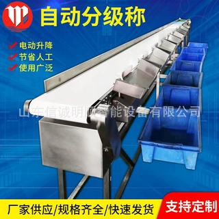 定制鸡爪鸡翅皮带式分选机白条鸡分级称全自动海参按重量分拣设备