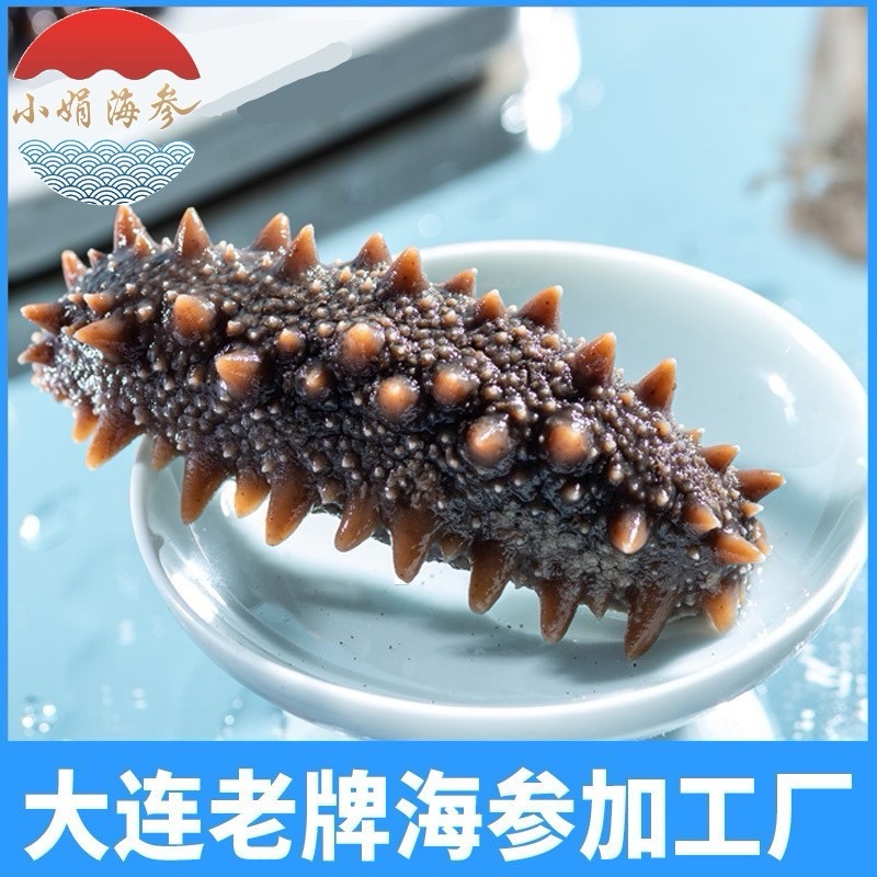 Dalian Ready-to-Eat Sea Cucumber Frozen Liaoning Spiny Sea Cucumber Fresh Chewy Texture Wholesale Price Can Drop Ship