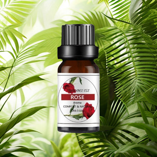 One-Piece Drop-Shipping Water-Soluble Aromatherapy Essential Oil 10ml Fresh Fragrance Humidifier Diffuser Long-Lasting Fragrance Cross-Border Hot Item