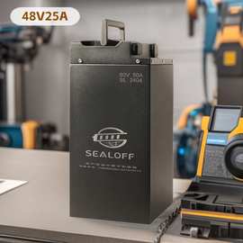 全新宁德磷酸铁锂二轮电动车锂电池48v25a大容量三元锂电瓶现货