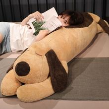 ſſ˯X̖탺ͯ鳬϶YYƷ͏dɳl