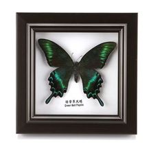 �����˱� ������ˇƷ DIY�b�  ������� ���նY�� �����b�Ʒ