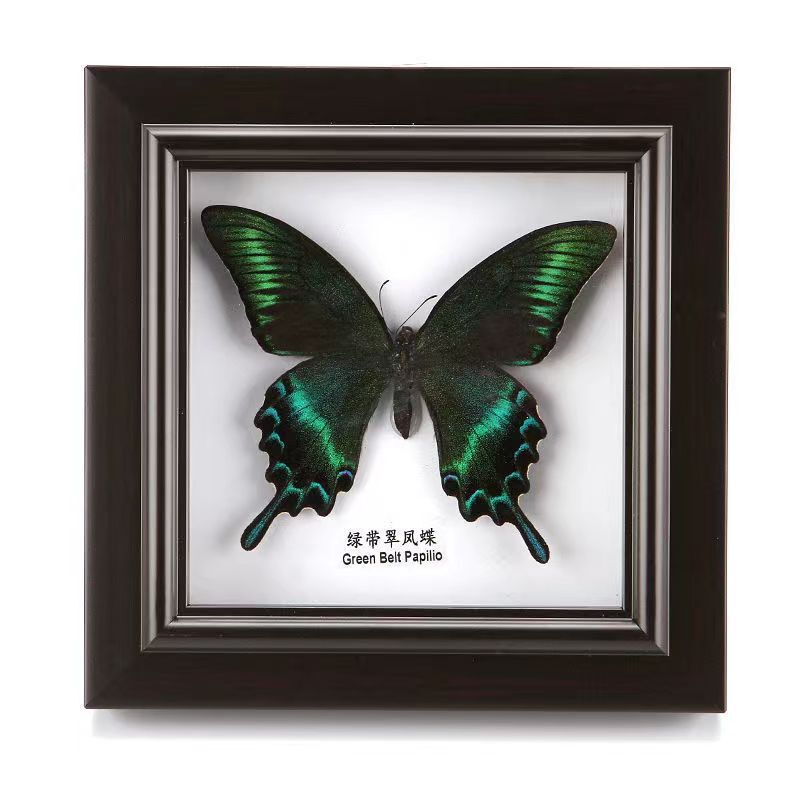 Butterfly Specimen Butterfly Crafts DIY Decoration Butterfly Photo Frame Birthday Gift Wall Decorations Butterfly Specimen Butterfly Crafts DIY Decoration Butterfly Photo Frame Birthday Gift Wall Decorations