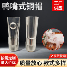 鸭嘴式铜帽不锈钢猪水嘴 乳头式塑帽猪嘴 防溅水滚珠猪用饮水器