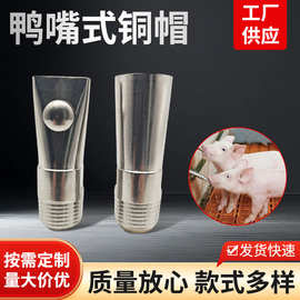 鸭嘴式铜帽不锈钢猪水嘴 乳头式塑帽猪嘴 防溅水滚珠猪用饮水器