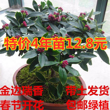 ��߅�������԰��]�ͺ������^��ֲ���҃������ļ������Ϙ��̨ͥԺ