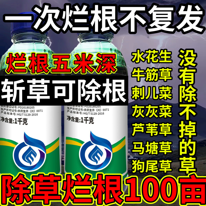 一次烂根不复发高浓度精草铵膦铵盐除草斩草除根杂草烂根除草剂