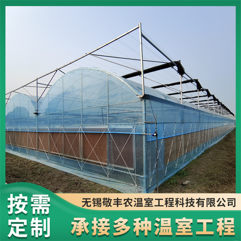 Professional Customization of One-Piece Multi-Span Greenhouses with Hot-Dip Galvanized Pipe Frames for Vegetable Cultivation Professional Customization of One-Piece Multi-Span Greenhouses with Hot-Dip Galvanized Pipe Frames for Vegetable Cultivation