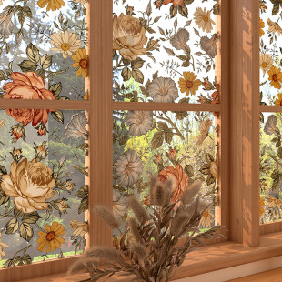 �l���g��ʽ�͹ŷ��Q�������NĤԡ��͸������������͸�ⲣ���T�N��