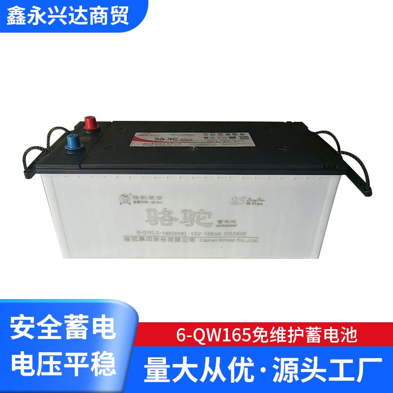 6-QWLZ165型号蓄电池 起动型蓄电池 6-QW165免维护蓄电池
