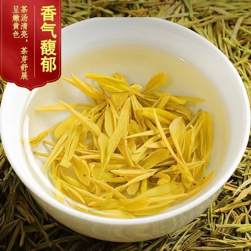 本物の金芽茶 2025 新茶 明前安吉高山希少白茶 緑茶 高山緑茶 正規品|undefined