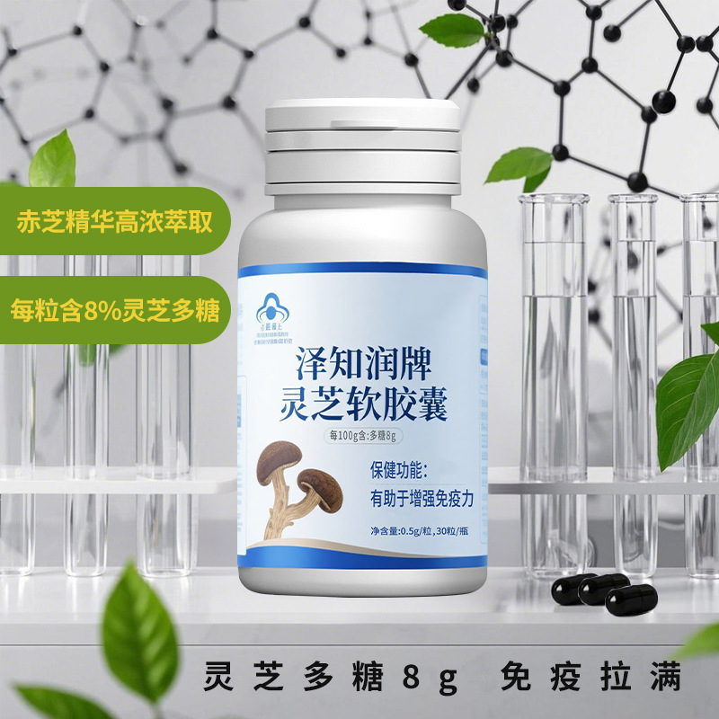 泽知润牌灵芝软胶囊批发 厂家蓝帽保健食品中老年灵芝软胶囊定制|undefined