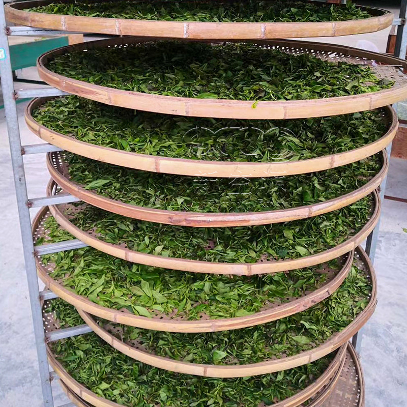 茶叶萎凋烘干房 白茶 黑茶烘干设备 商用大型空气能花茶烘干机