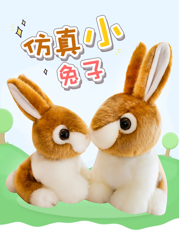 仿真兔子_01.jpg