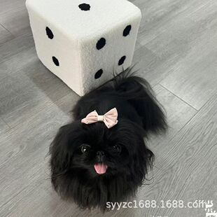 ������Ȯ����С��Ȯ���͹����ͪ{�ӹ�����Ȯ��ɫ���ʹ������Lë��