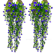 �羳69Ŀ�ȼ����軨�ٗl������滨�ٵ��m����ٻ����⻨�߷���