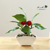 Realistic fruit flowerpot, decorations indoor, jewelry, new collection, factory direct supply