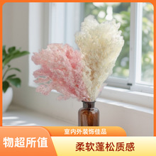 �������ɻ��߼����p���b�DIY��Ӳ�����ˇ�������R��