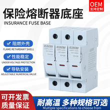 .DC1000V ����R���䌣���۔�����ָʾ������ʽ���U�z10*38