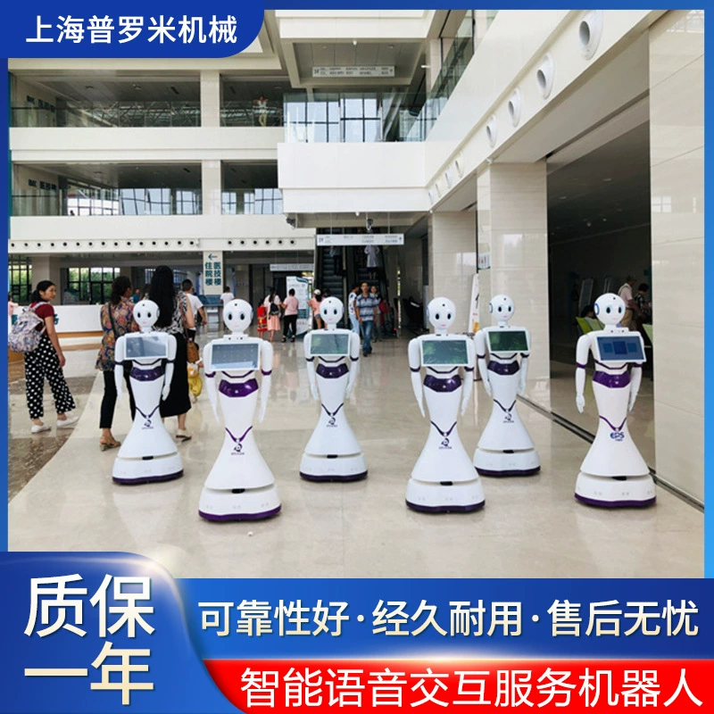 Правительство гуманоид приемная Голос Интерактивное объяснение робот общественная безопасность прокурорский судебный правительство