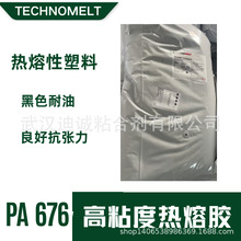 ���h�ߟ����zTechnomelt PA 676 20KG �͉�ע�ܟ����z