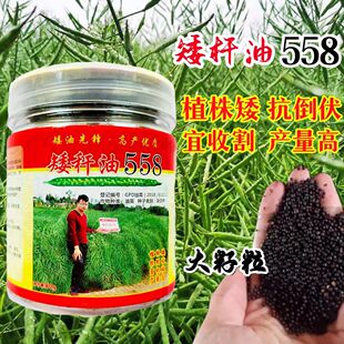 ���U���ͺ��°���558�Ͳ˷N�Ӹ߮a�������߳��͸������Ͳ˻��N��