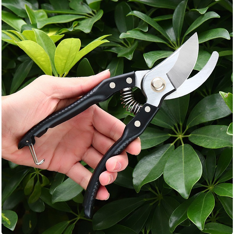 168-4  经典花卉水果剪切工具 盆景修剪器 65 锰钢花园农用果树剪