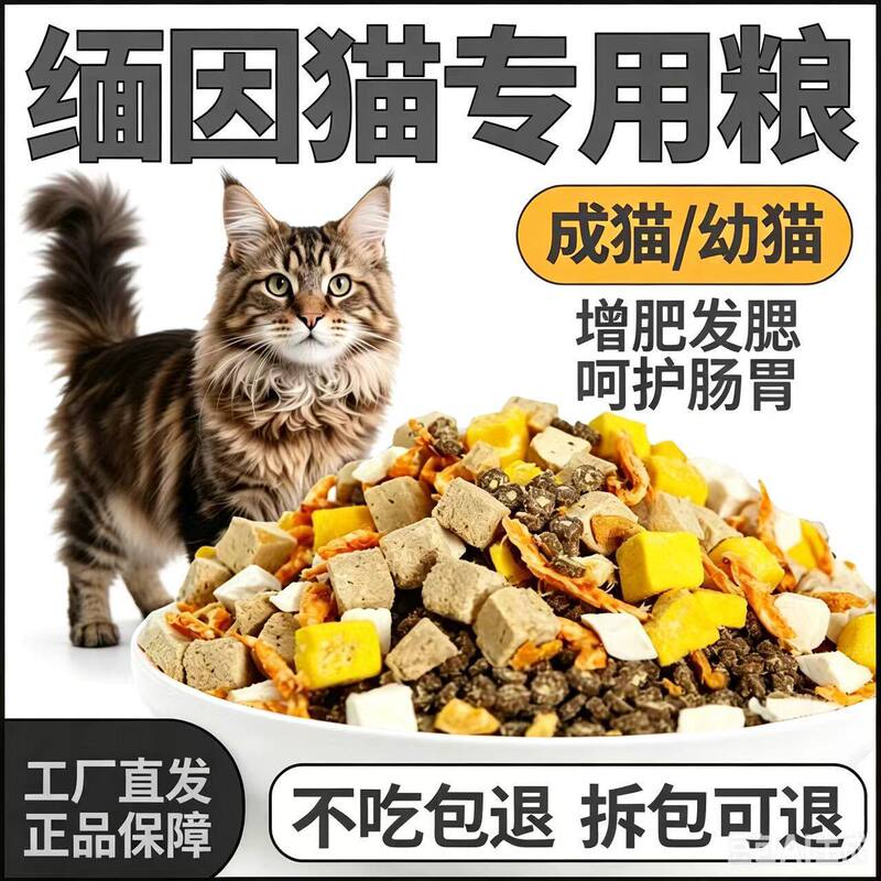 Maine Coon Cat Food for Adult and Young Cats, Complete with Fish Oil, Fresh Meat, and Freeze-Dried Ingredients, for a Shiny Coat