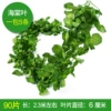 Color Print 90 Leaf Establishing Begonia Leaf (5 Packs)