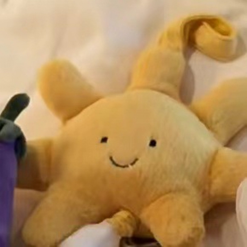 48h--JCのぬいぐるみ、人形、ギフト、母親と赤ちゃんの人形、かわいいバッグペンダントの大きなコレクション|undefined