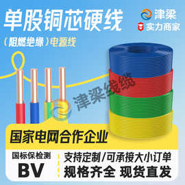 国标铜芯BV绝缘家装线4/6/10平方电线开关电缆插排电源线家装布线