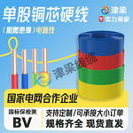 国标铜芯BV绝缘家装线4/6/10平方电线开关电缆插排电源线家装布线